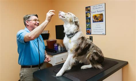 Lyndon animal clinic - Appointment info and how to save on vet costs at Lyndon Animal Clinic, Lyndon Animal Clinic is a veterinary office servicing pet owners in Louisville, KY.. Learn how to reduce unexpected vet costs. Vets Near Me > Kentucky > Louisville > Lyndon Animal Clinic.